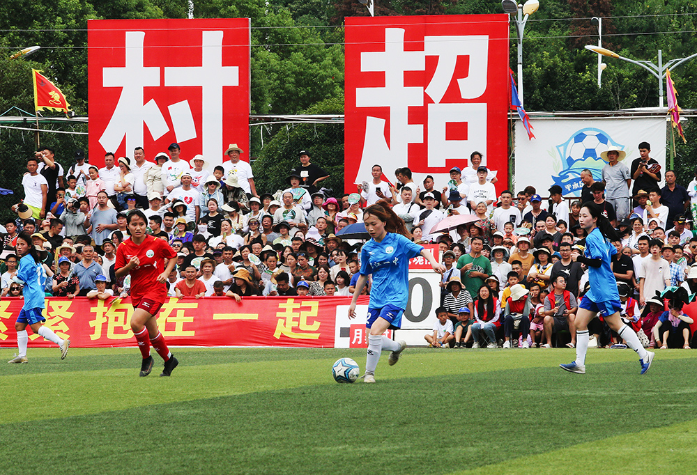 择了上海马 择了上海马