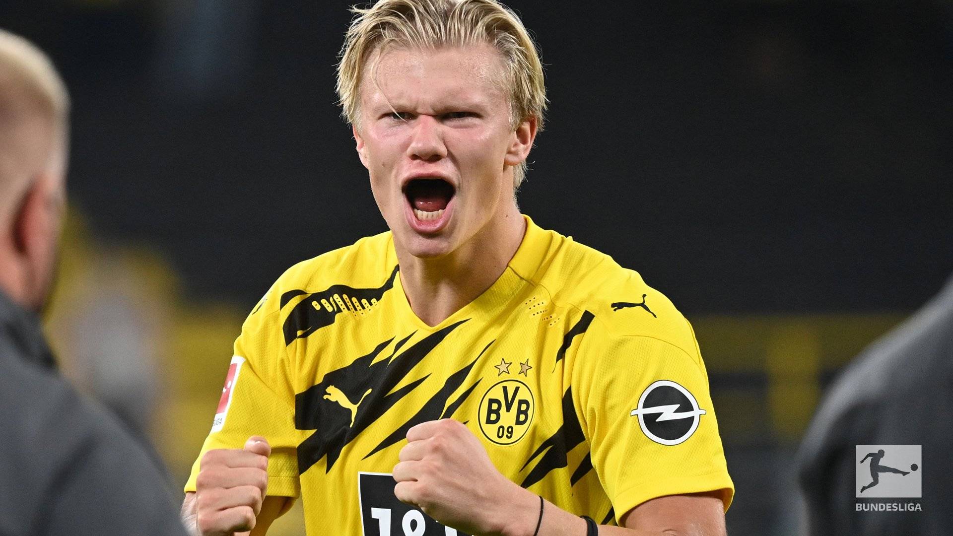 成为季末最 成为季末最