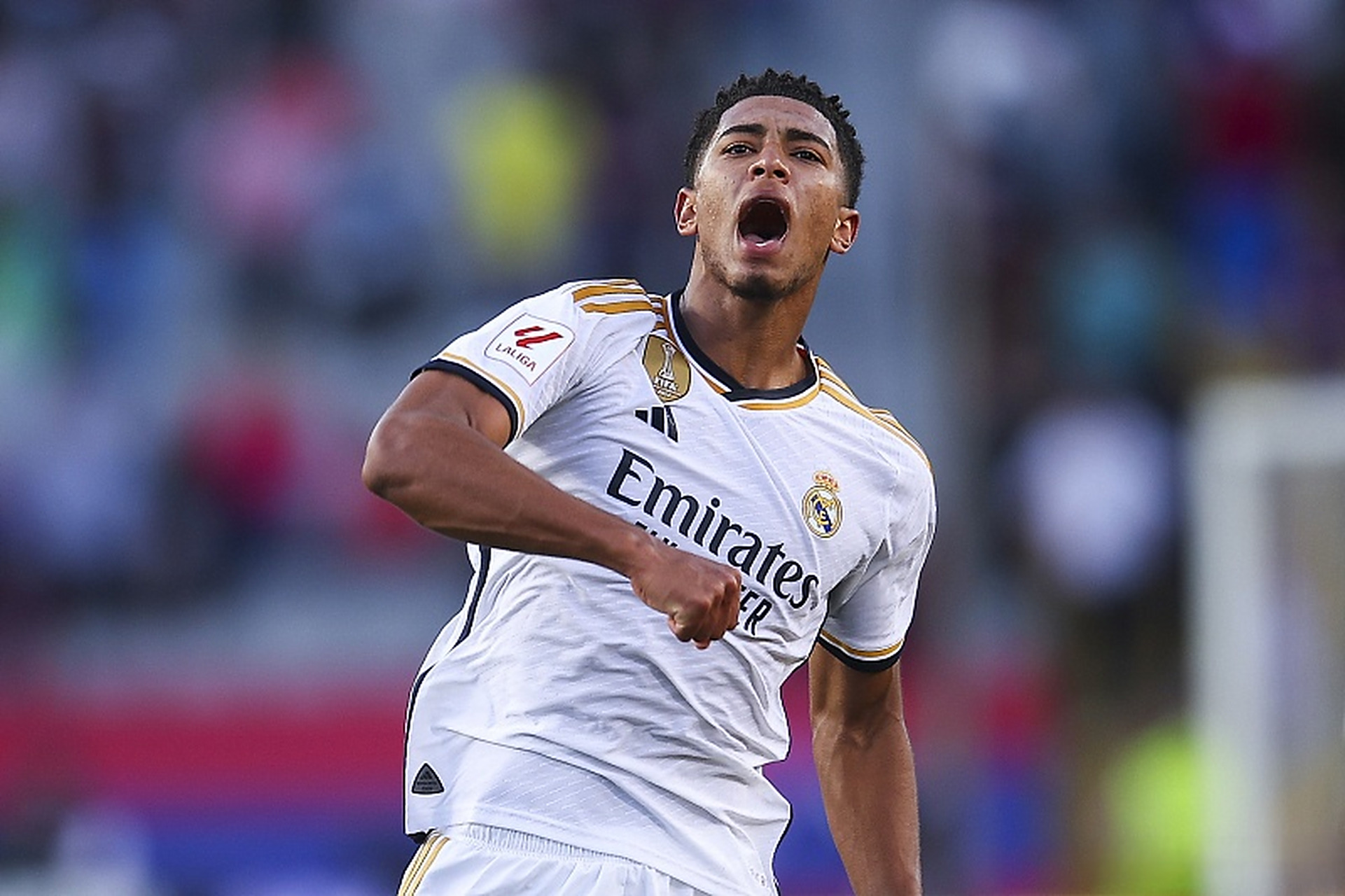 恰是北美队 恰是北美队